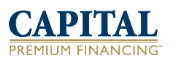 images/capital.png